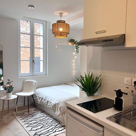 Le Saphir Apartment Toulouse Bagian luar foto