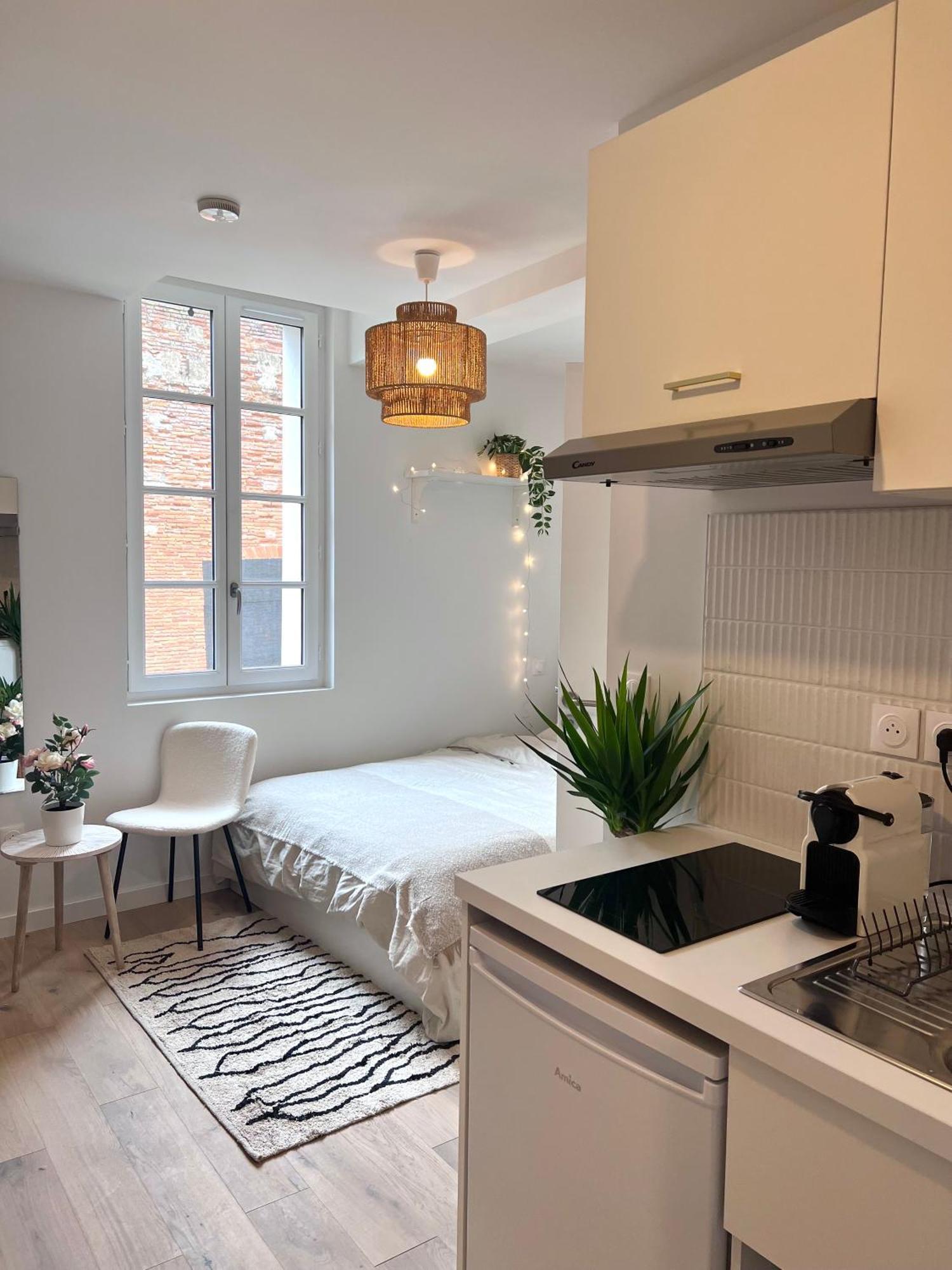 Le Saphir Apartment Toulouse Bagian luar foto