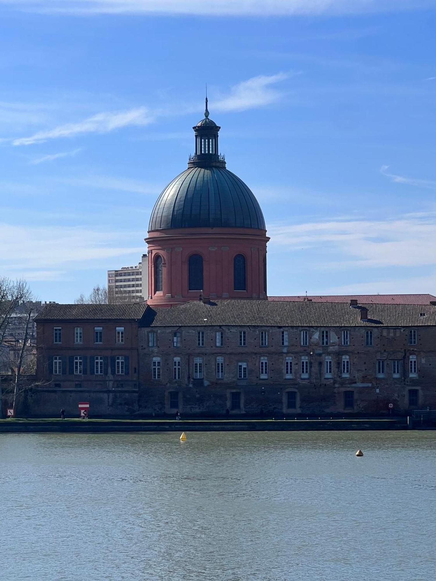 Le Saphir Apartment Toulouse Bagian luar foto