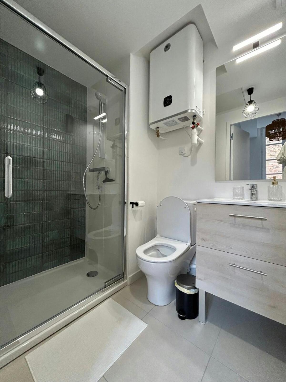 Le Saphir Apartment Toulouse Bagian luar foto