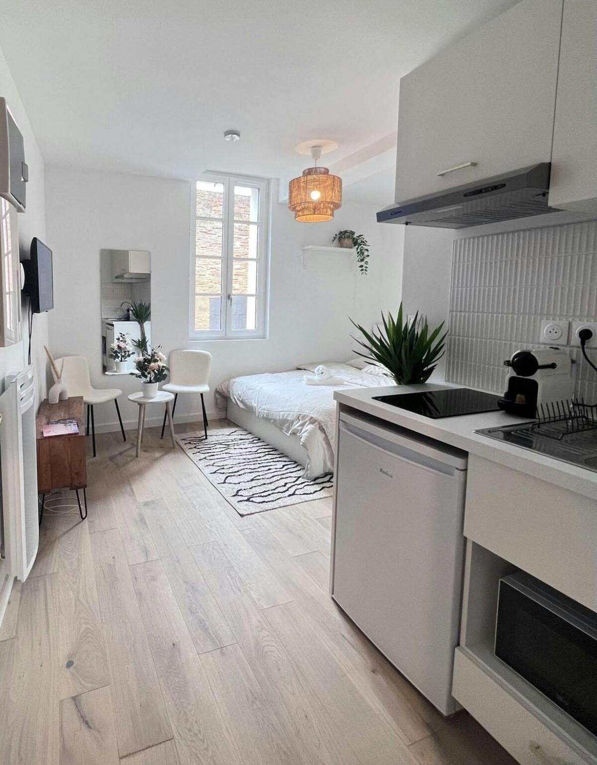 Le Saphir Apartment Toulouse Bagian luar foto